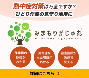 「みまもりがじゅ丸®」詳細はこちら