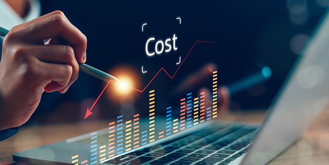 【料金相場】VPN導入・構築にかかる費用は？VPNの種類・目的別に解説