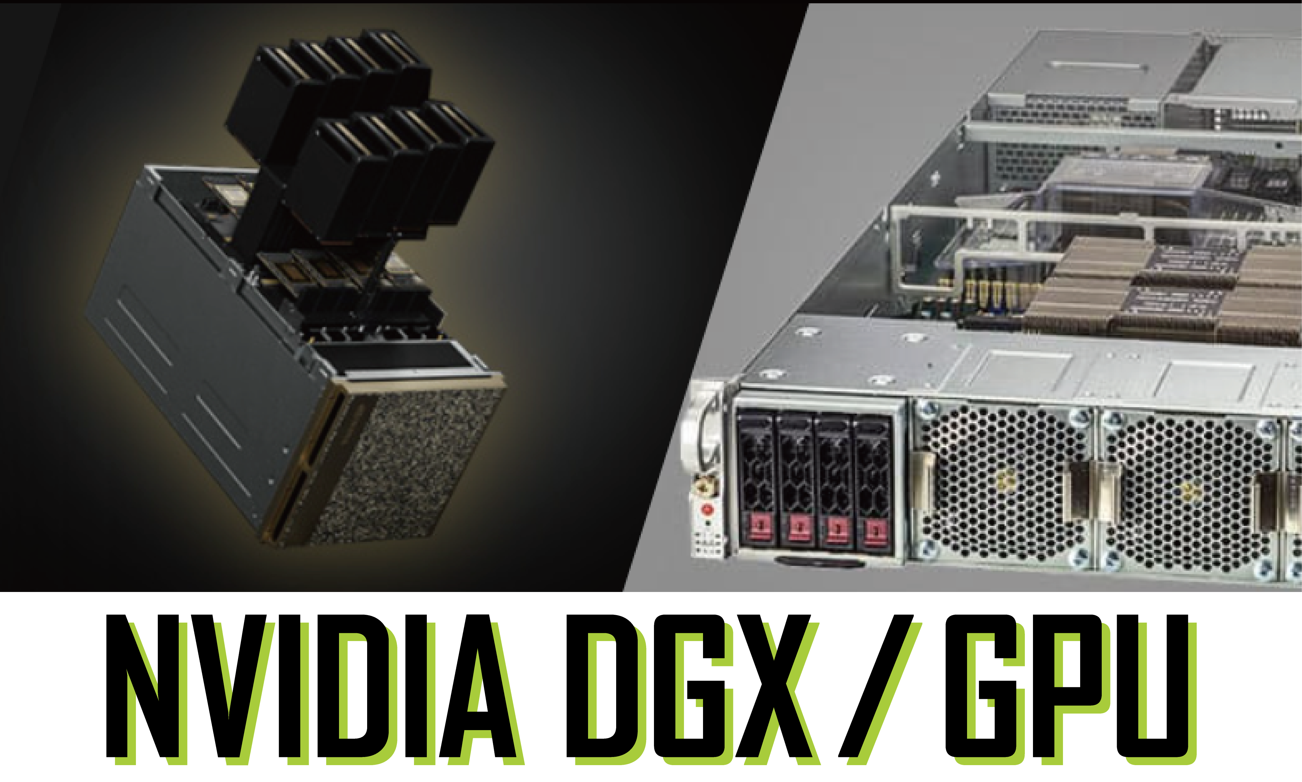 NVIDIA DGX/GPU