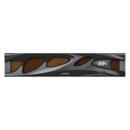 DDN AI400X3™ / ES400X3™
