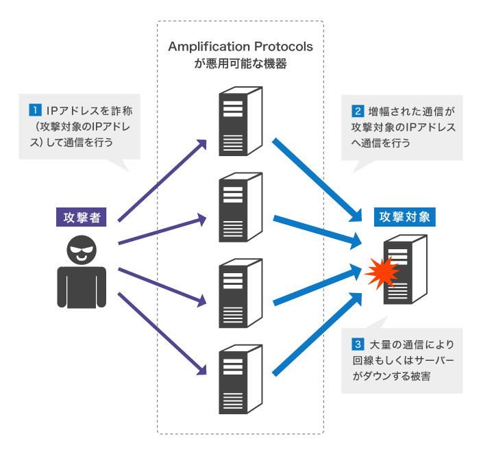 Amplification Protocols（増幅プロトコル） 概要図