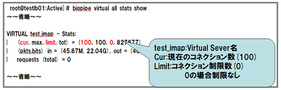 Virtual Serverへのアクセス確認コマンドを実行 説明図