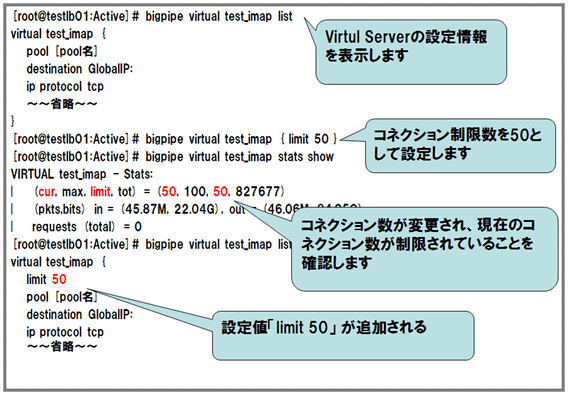 Virtual Serverへのアクセス確認コマンドを実行 説明図